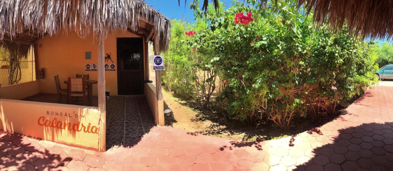 Bungalows Cabo Pulmo 外观 照片