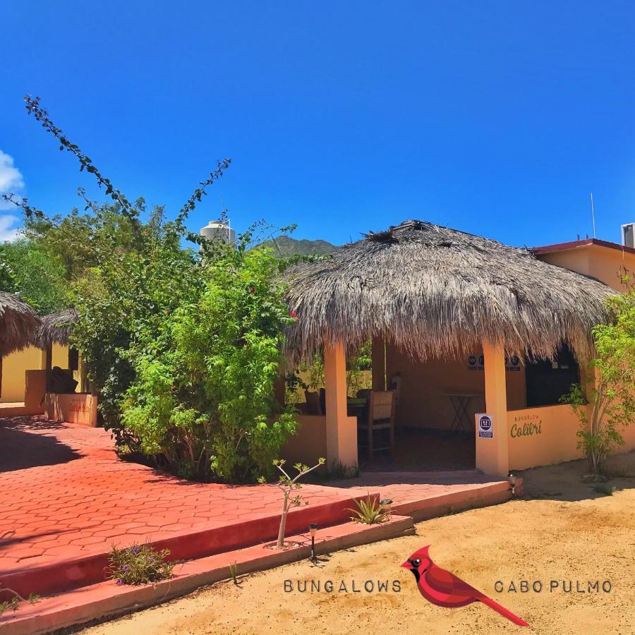 Bungalows Cabo Pulmo 外观 照片