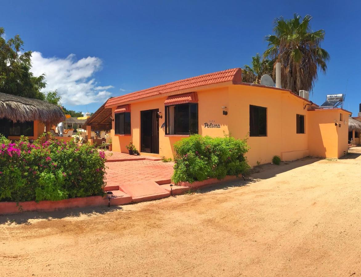 Bungalows Cabo Pulmo 外观 照片