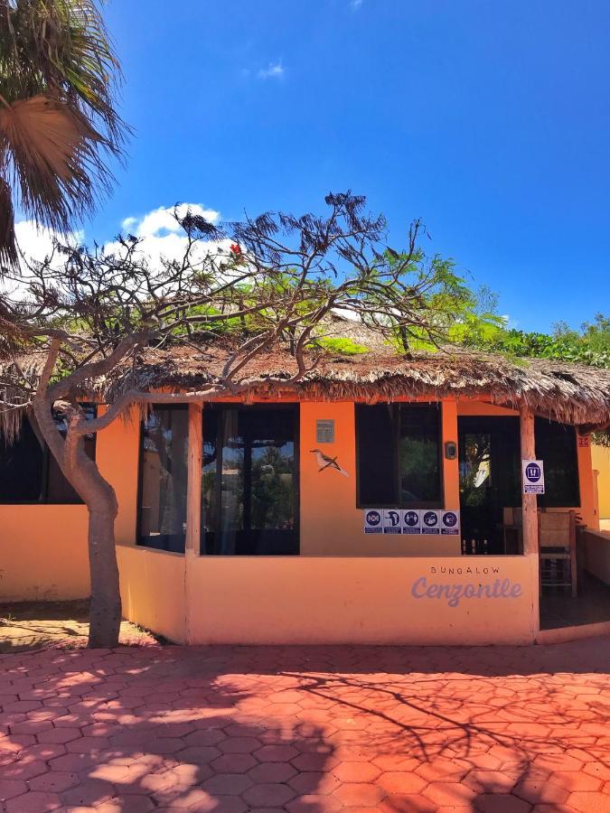 Bungalows Cabo Pulmo 外观 照片