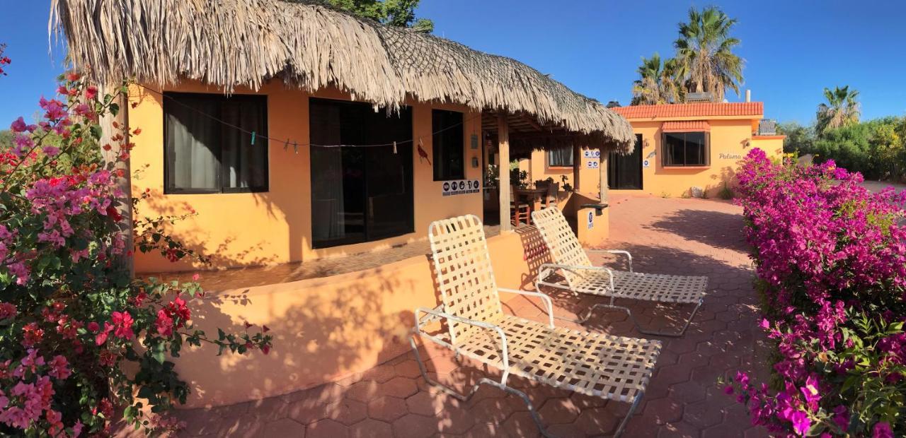 Bungalows Cabo Pulmo 外观 照片